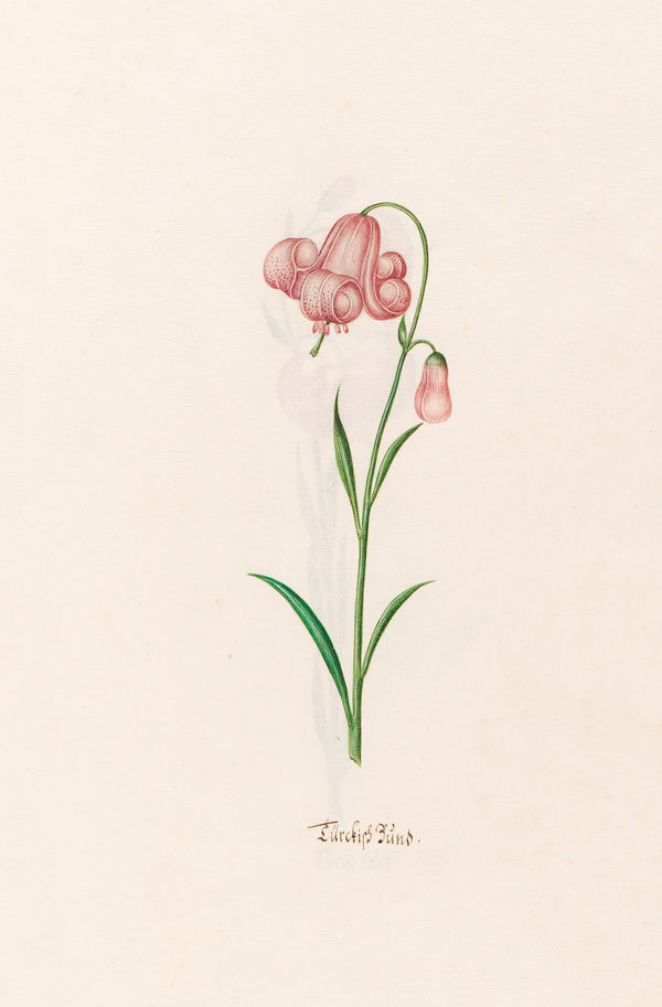 Türckish Bünd 1692