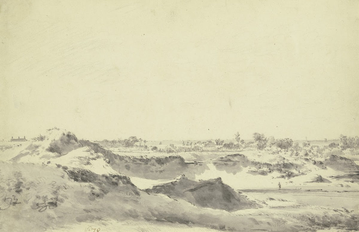 Dune landscape