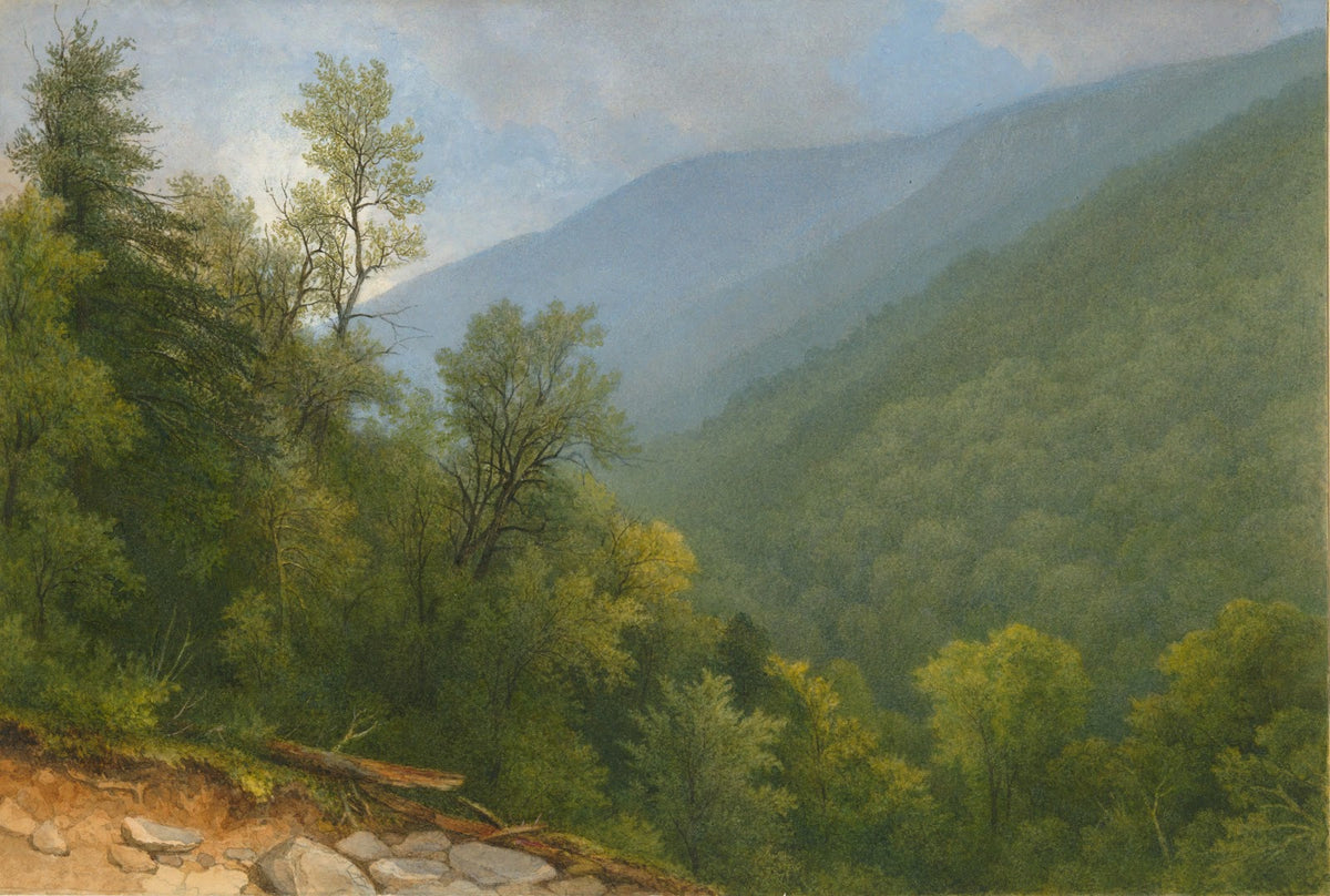 View Down theValley 19thcentury 1