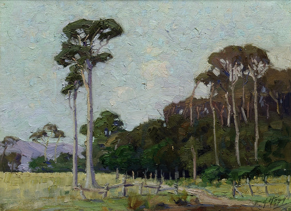 Bartons Bush Trentham 1917