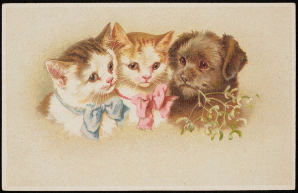 Two kittens with bows and a dog with a sprig of mistletoe in its mouth 1913 1924