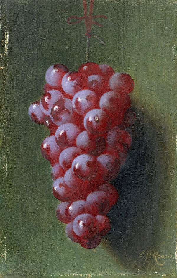 Still Life with Grapes