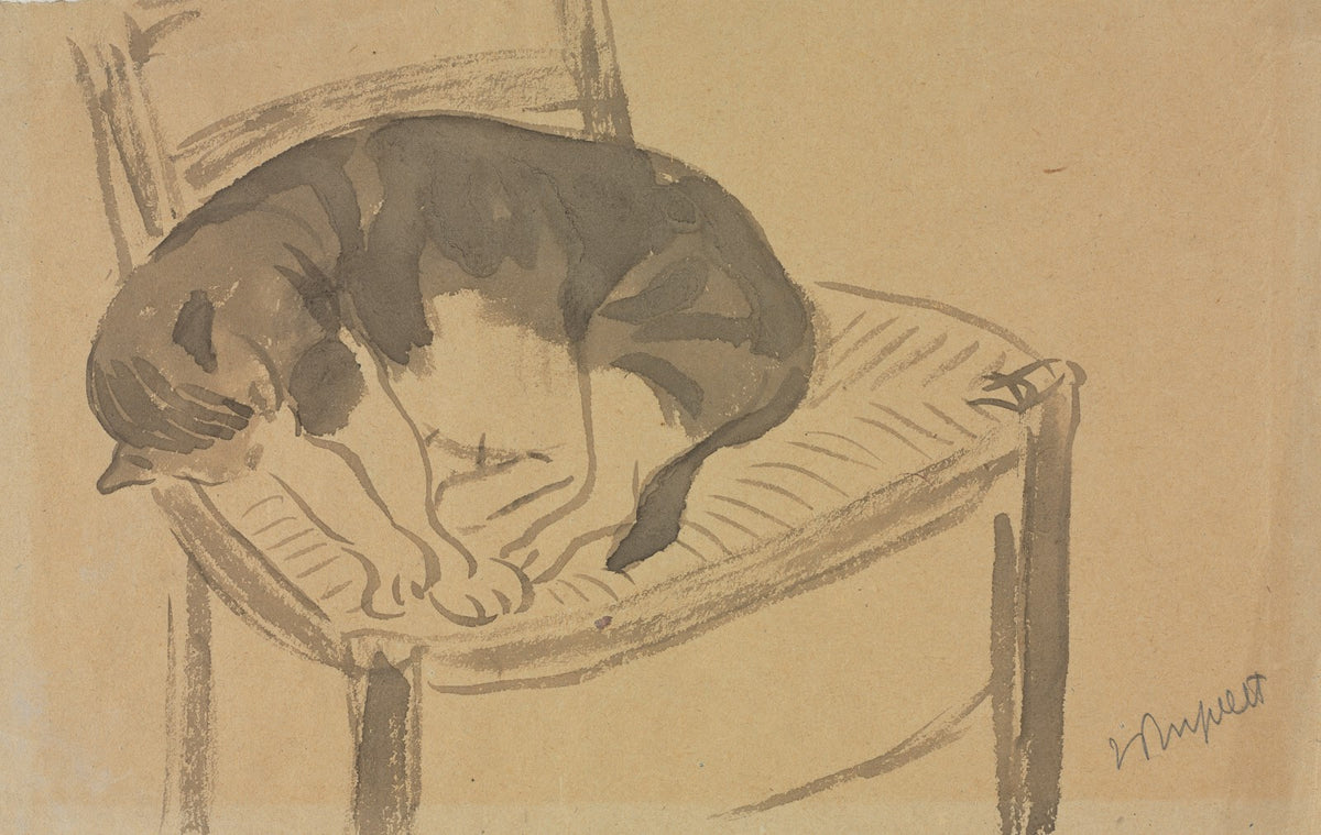 Sleeping Cat 19001932