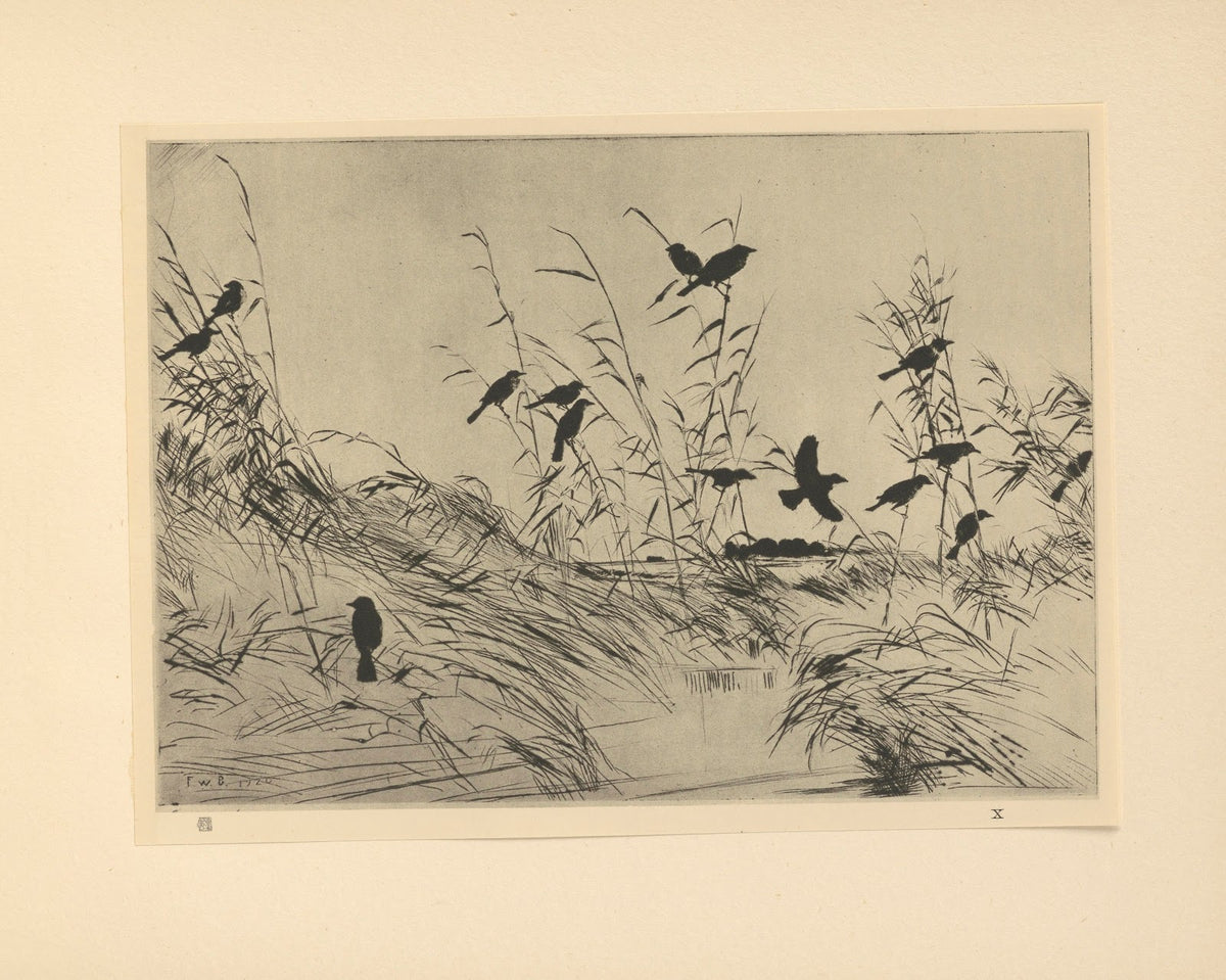 Blackbirds and Rushes 20th century