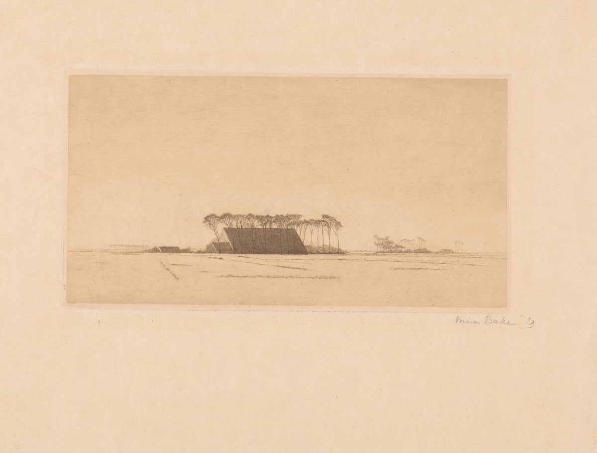 Landschap met boerderijen 1929