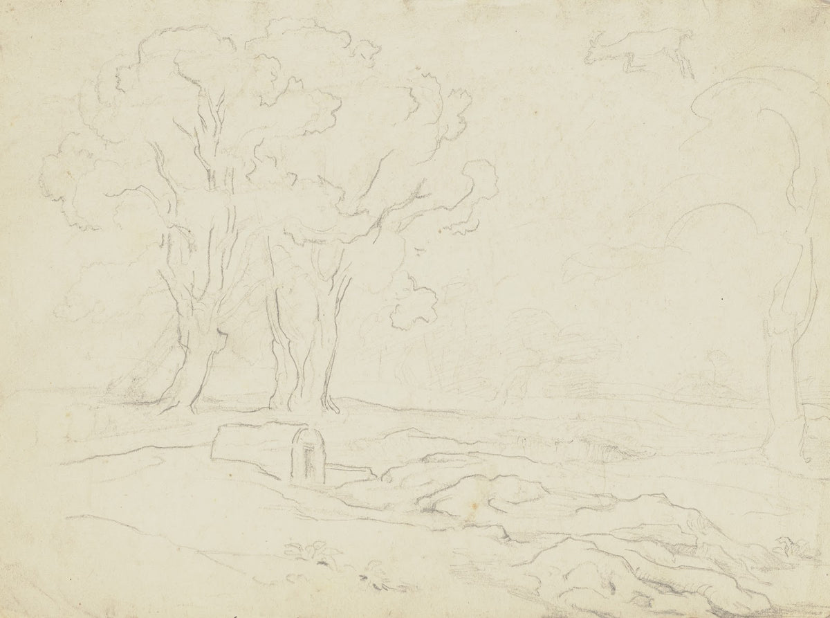 Italienische Landschaft mit Ölbäumen