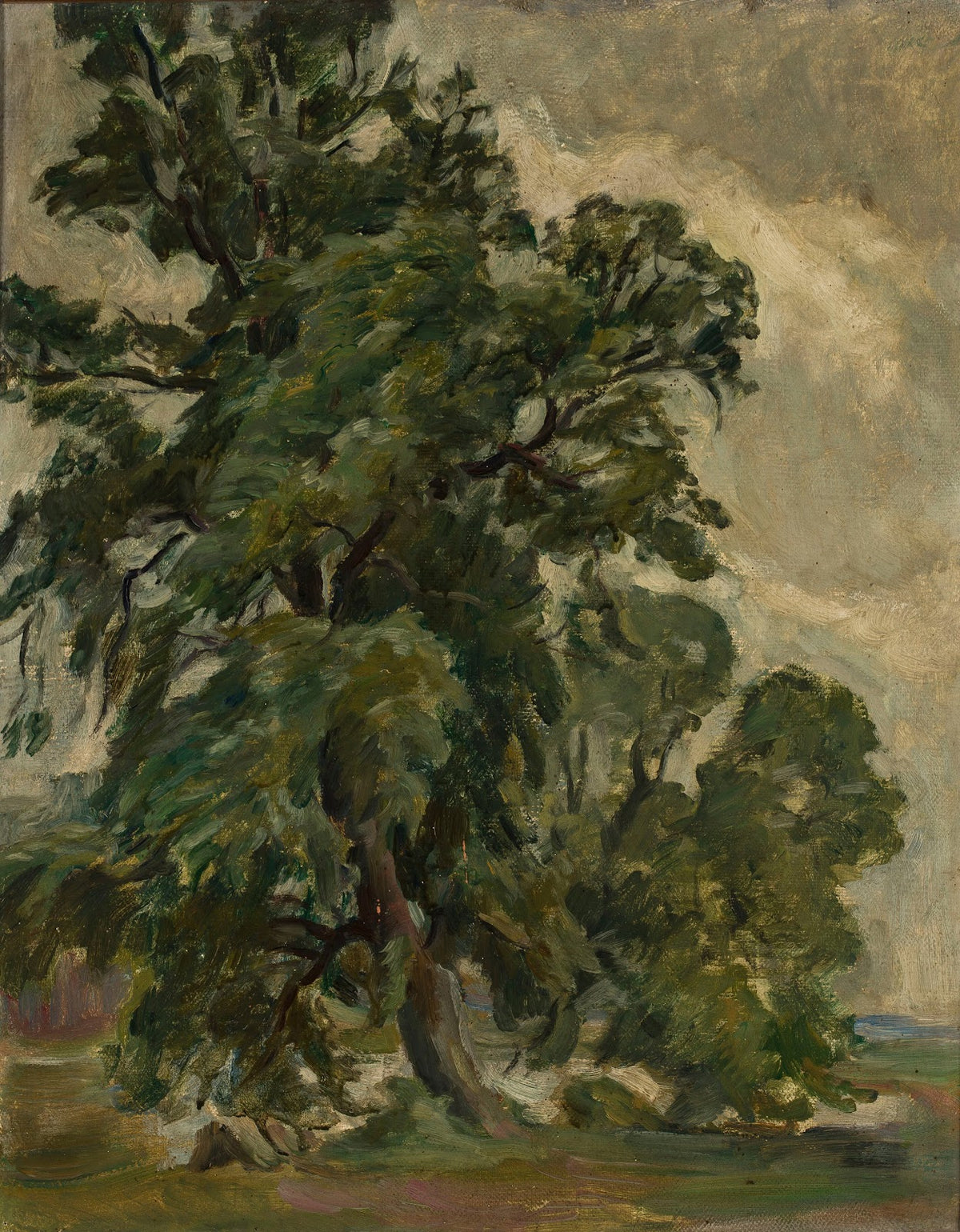 Porträt eines jungen Herren Ca 1870