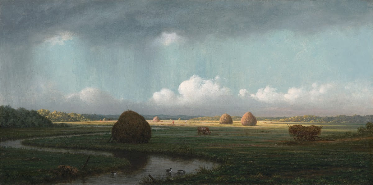 Sudden Shower NewburyMarshes ca186575