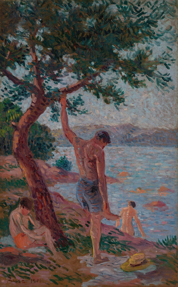 Saint Tropez baigneurs sous la pinède 1901