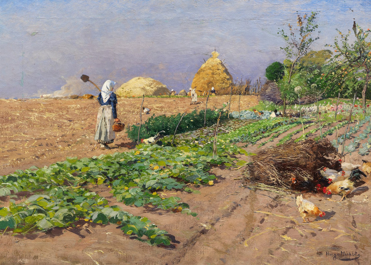 Arbeit auf dem Feld 1898