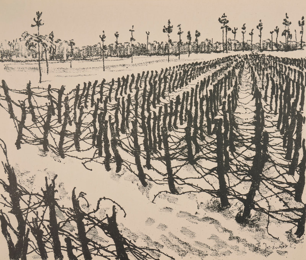 Zasieki pod Optową 1937