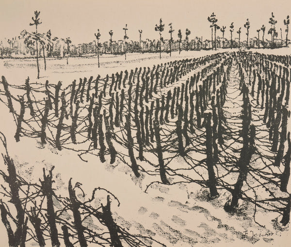 Zasieki pod Optową 1937