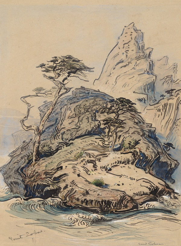 Point Lobos California probably 1886