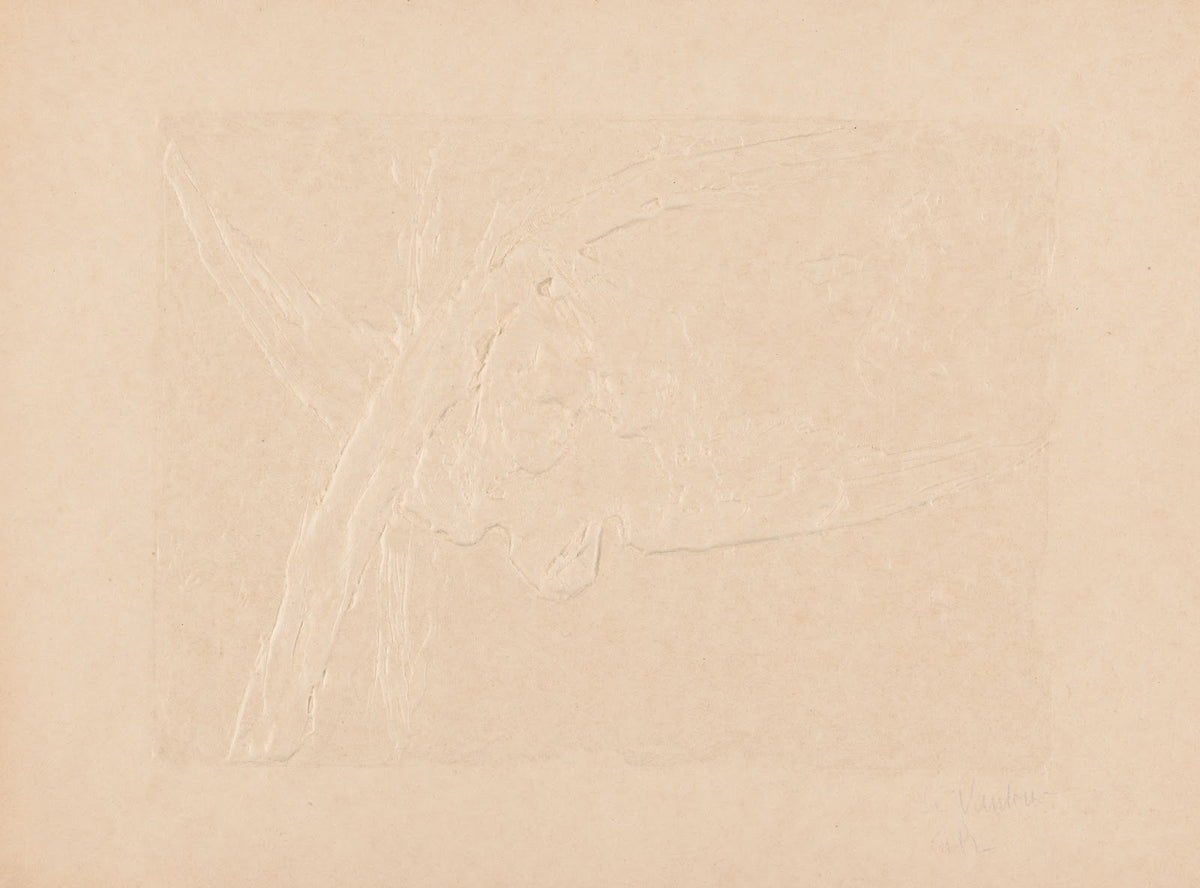 Le Vautour 1893 1895