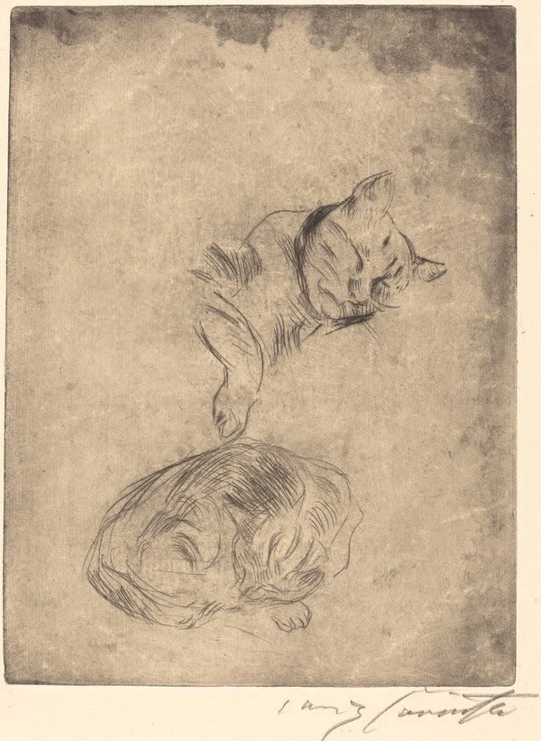 Cats Katzenstudie 1920