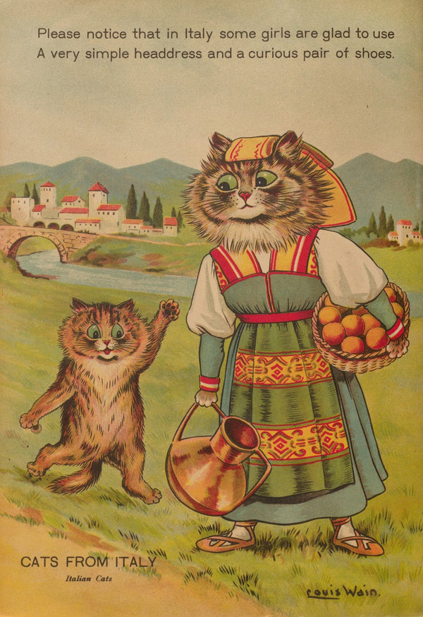 Cats from Italy 1914