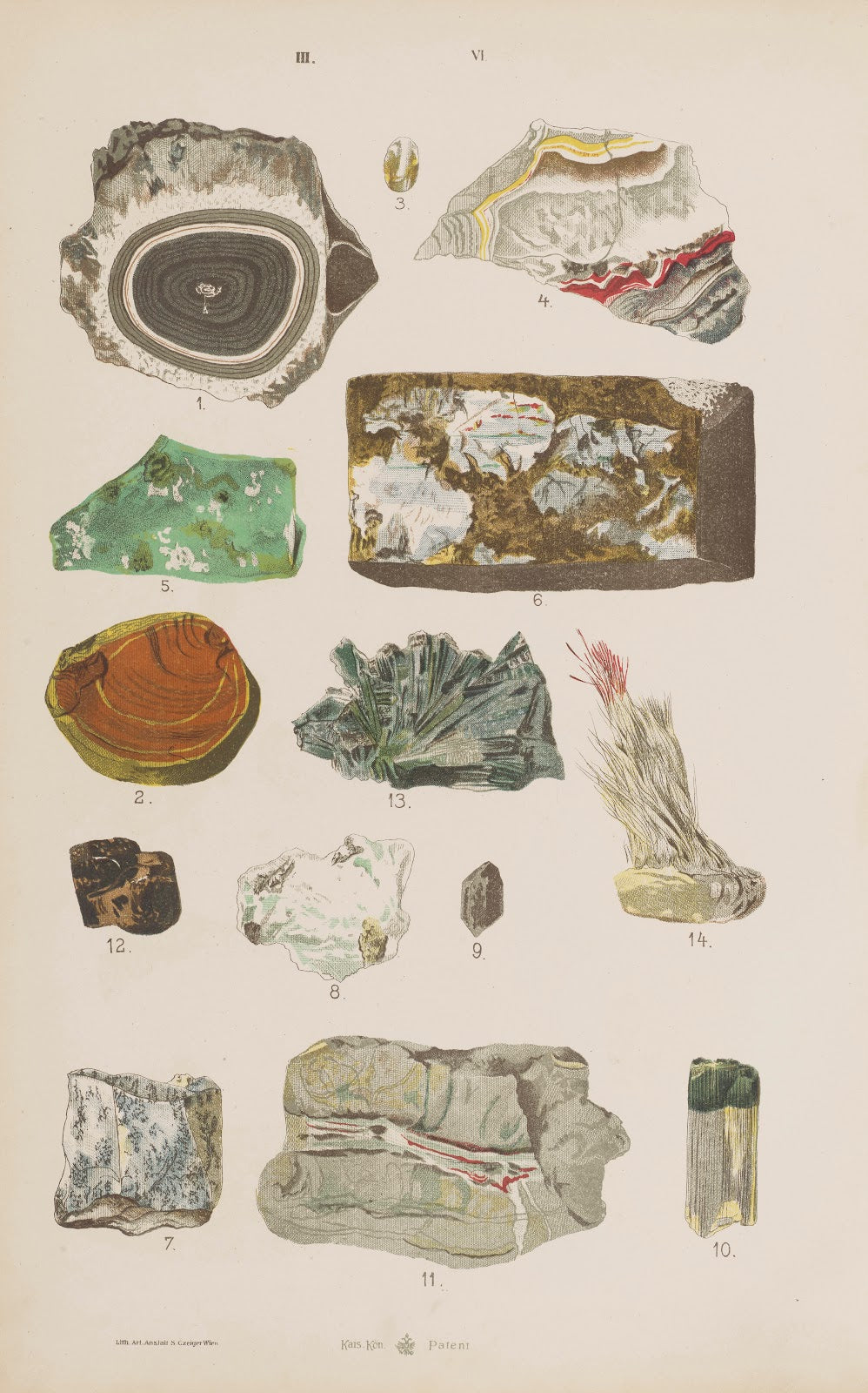 Wielki atlas do zoologii botaniki i mineralogii Pl118 1887