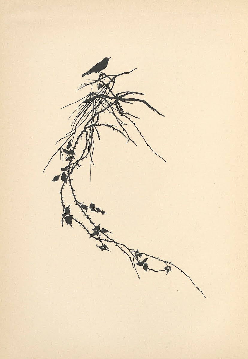 Vom Zufrieden Werden Pl16 1932