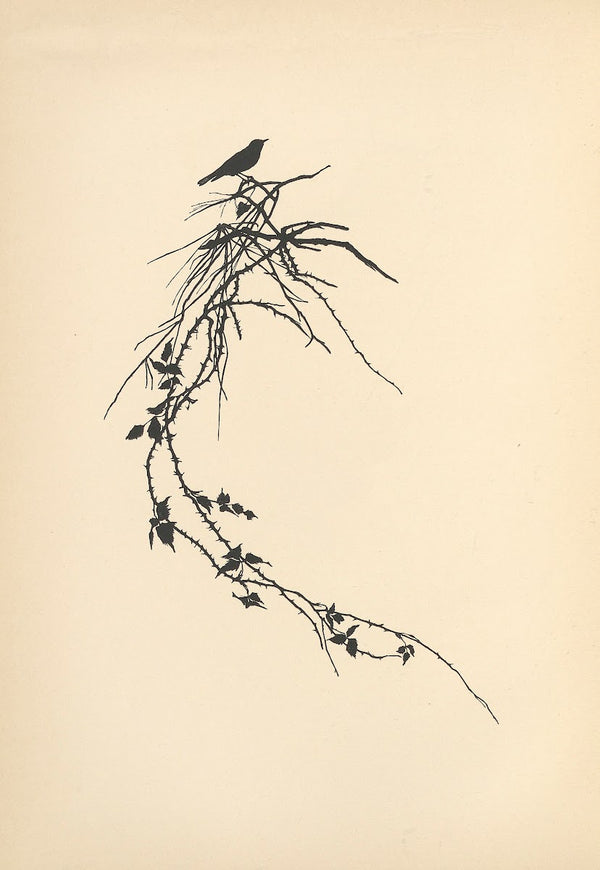 Vom Zufrieden Werden Pl16 1932