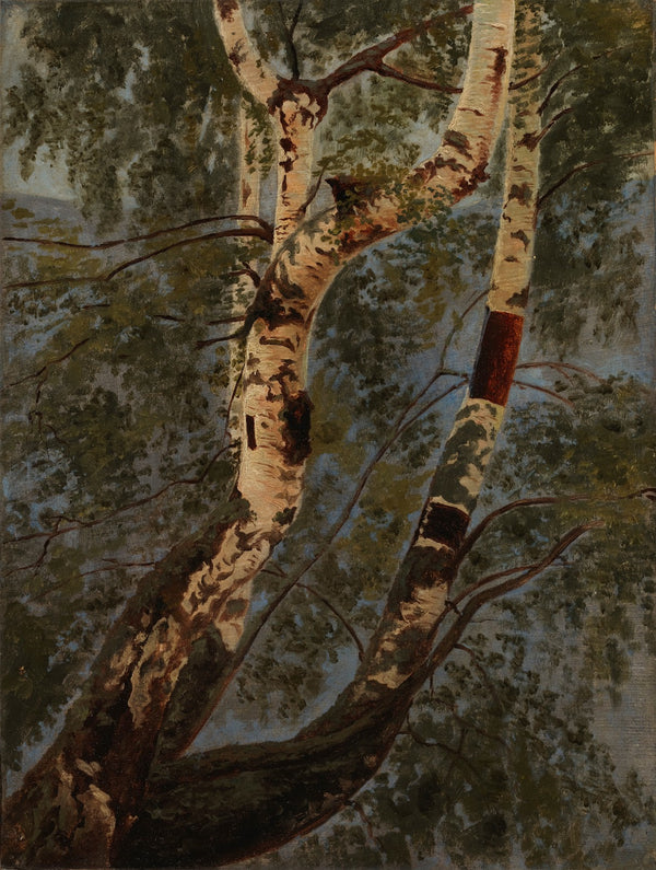 Birch Trunks Rehearsal 1854
