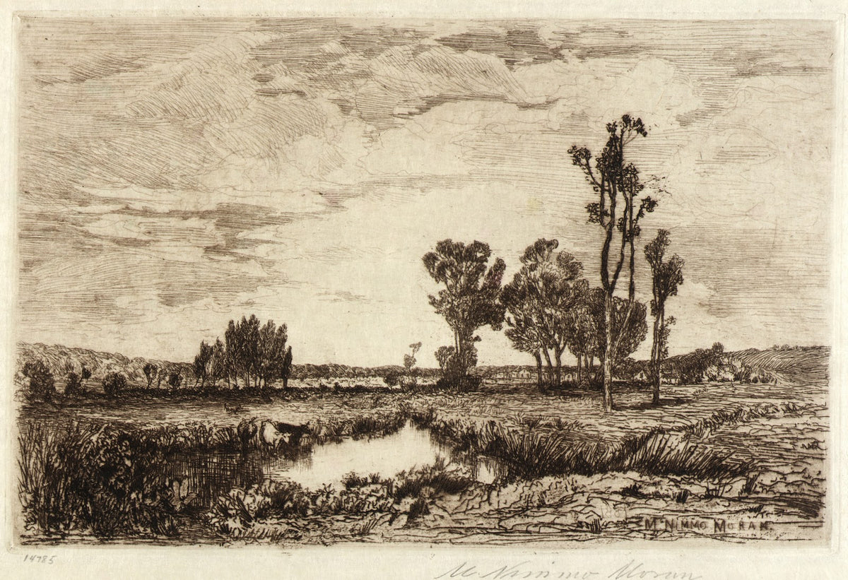 Cattle in a Pond 1881