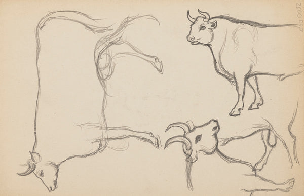Études danimaux de paysages et de modèles