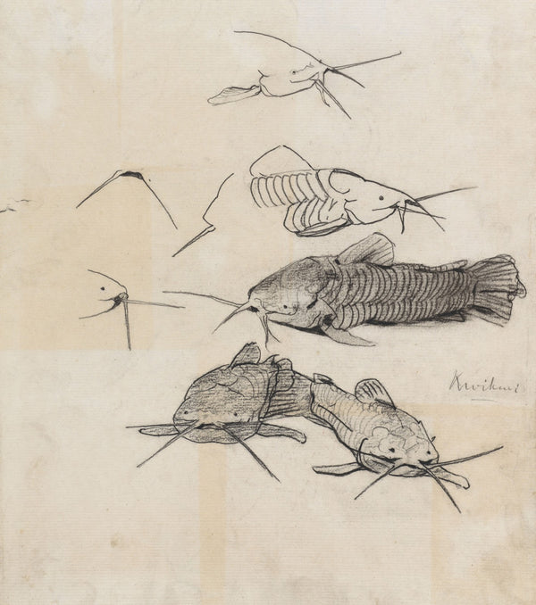 Studieblad met meervallen 1876   1951