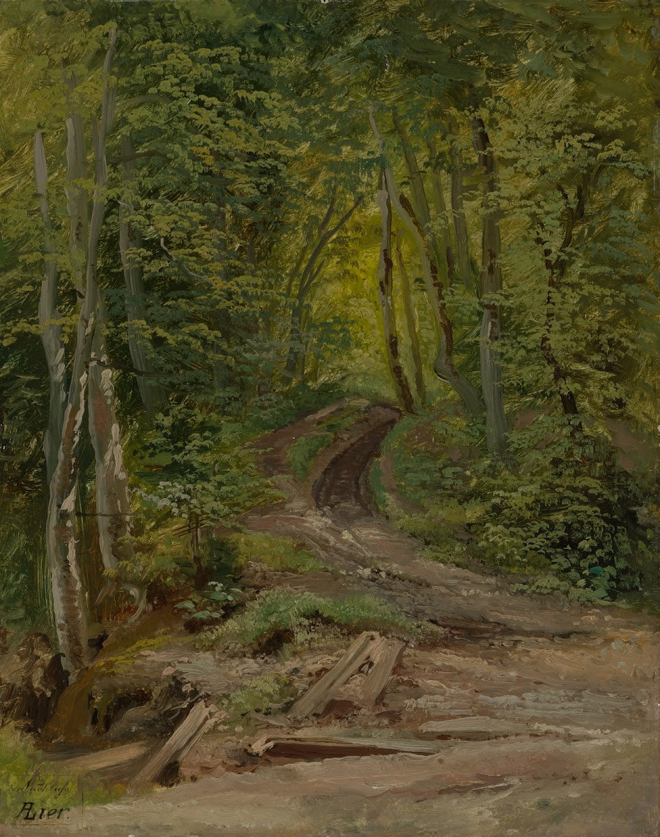 Waldinneres