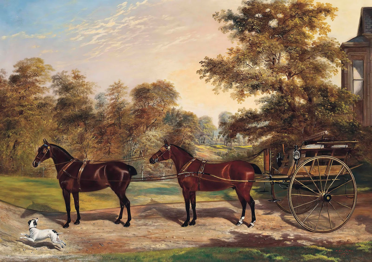 Carriage Horses Harnessed In Tandem 1876