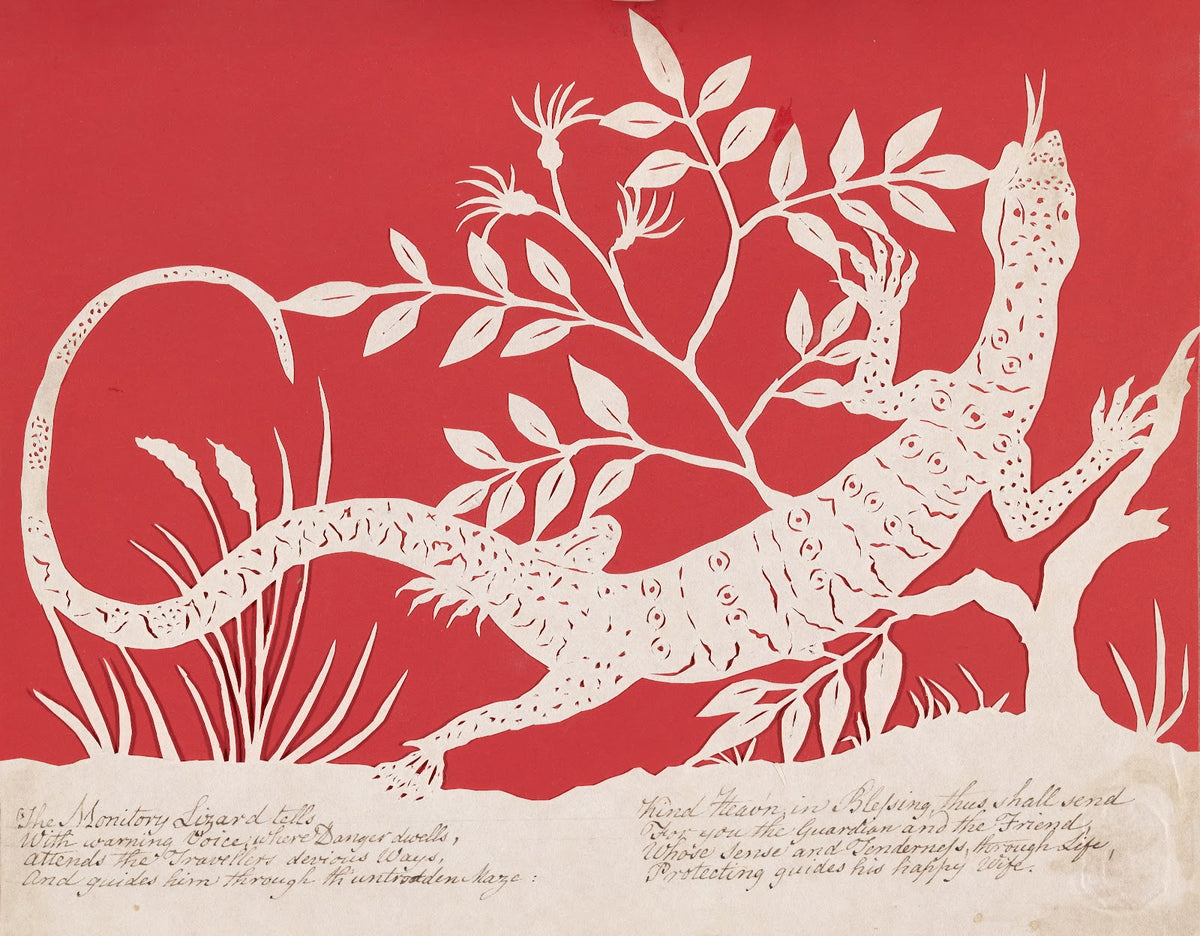 Lizard 1823