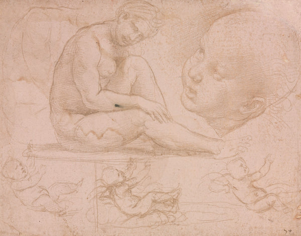 Studies of a Seated Female Childs Head and Three Studies of a Baby c 15078