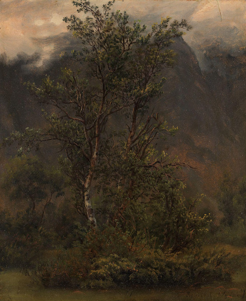 Study of Birches in Romsdal 1836