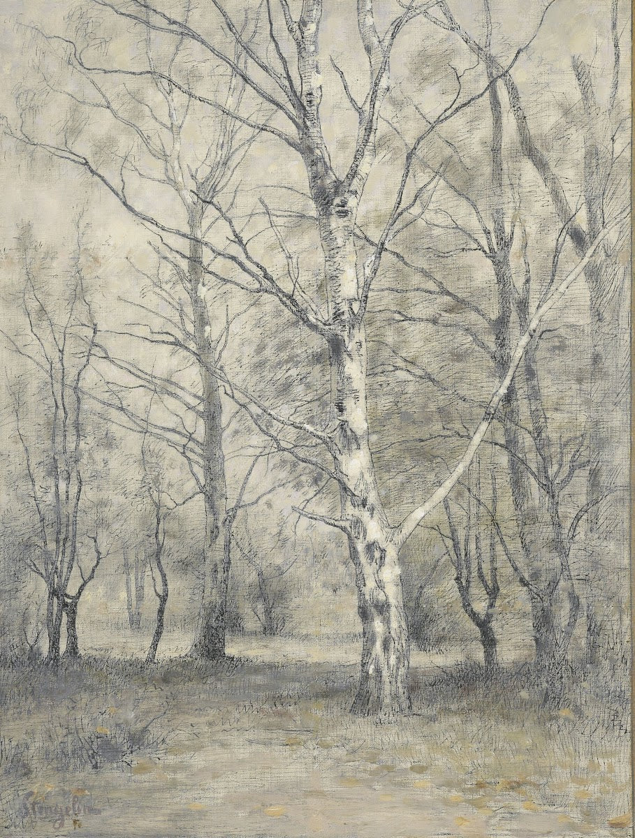 Bos met berkebomen 1875   1910