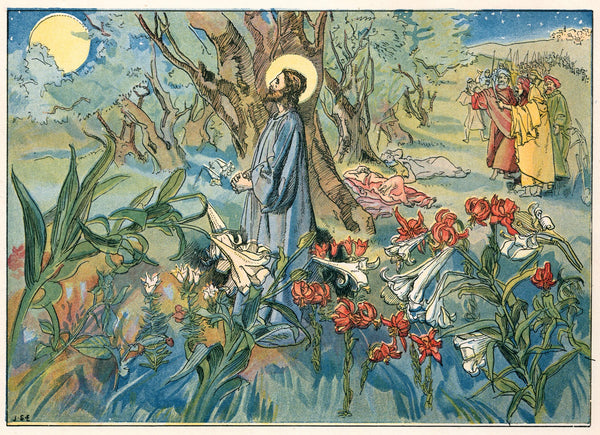 The Red Lily 1890