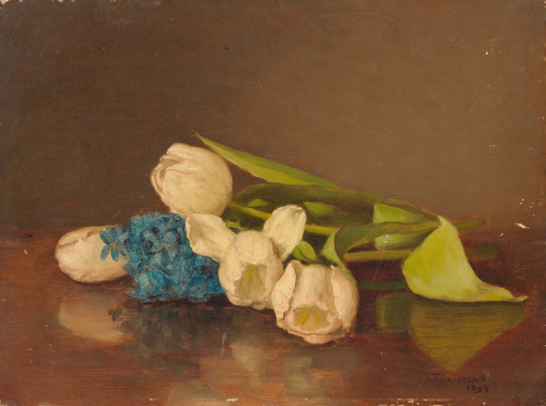Liggende tulpen 1894