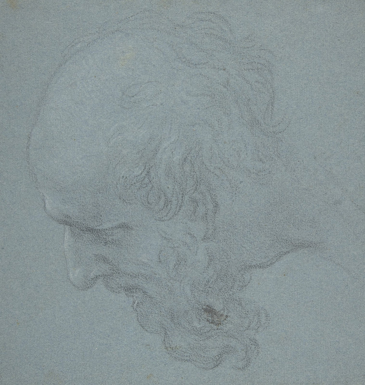 Head of a Bearded Man Looking to Upper Left 163489