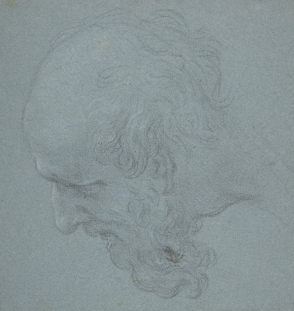 Head of a Bearded Man Looking to Upper Left 163489