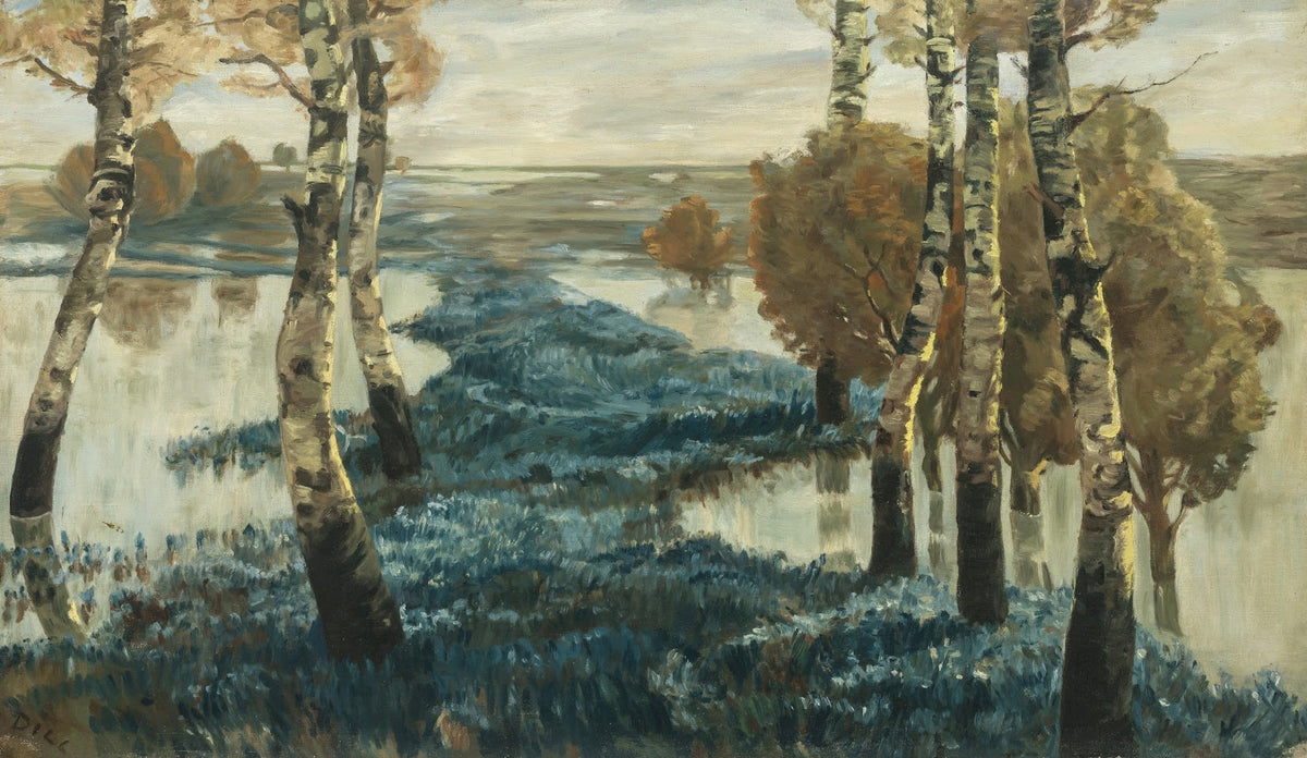 Überschwemmte Salbeifelder in der Poebene circa 1893