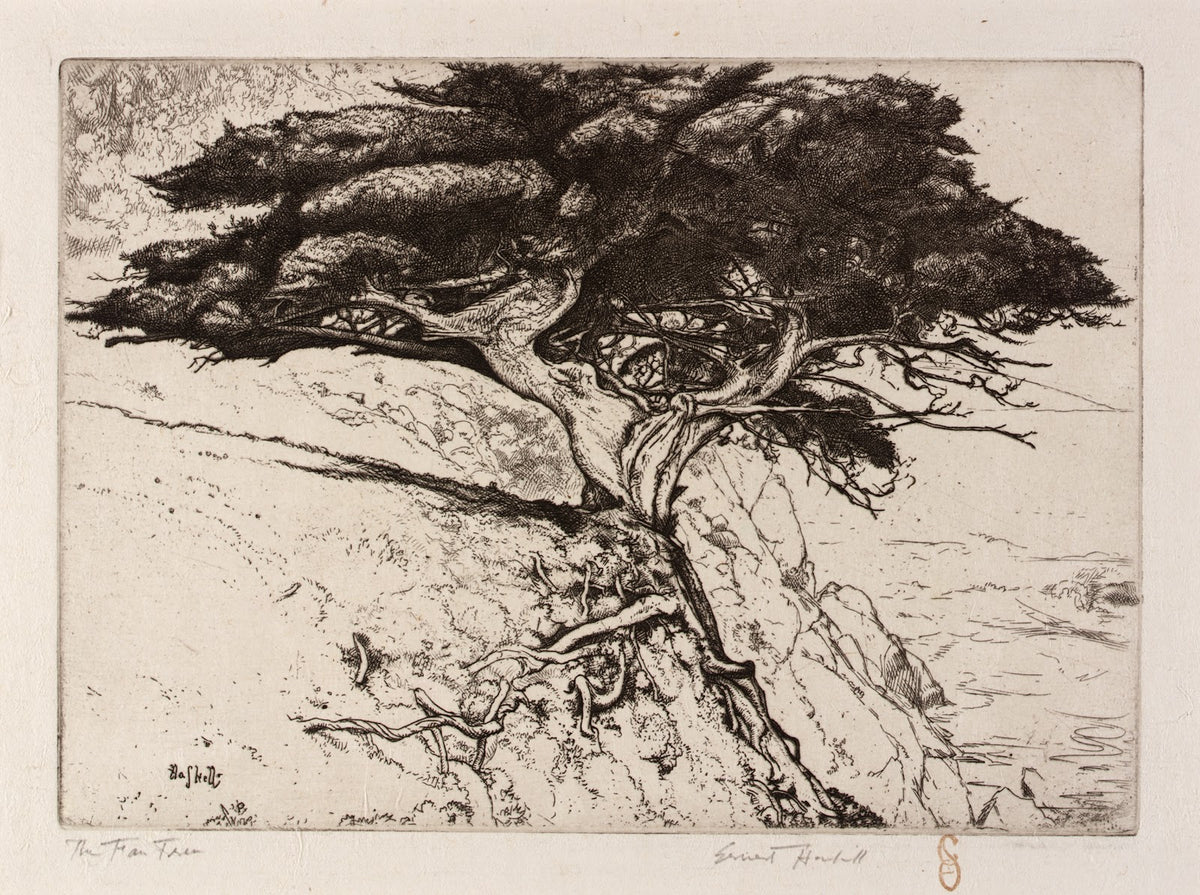 The Fan Tree ca 1915
