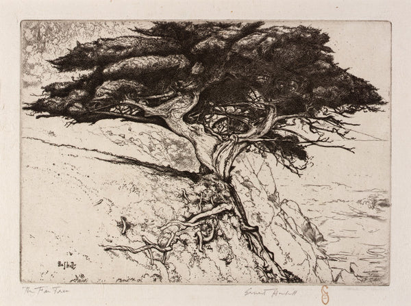 The Fan Tree ca 1915