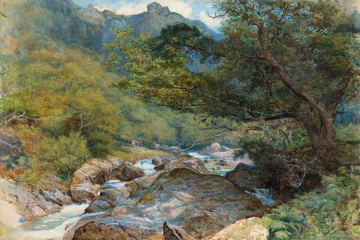 On the East Lyn North Devon c 1865