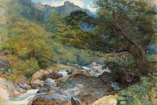 On the East Lyn North Devon c 1865