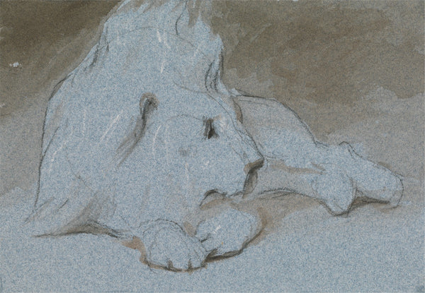 A Male Lion Lying Down and Half Facing Right ca 1856
