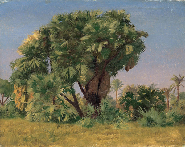 Study of Palm Trees probably 1868