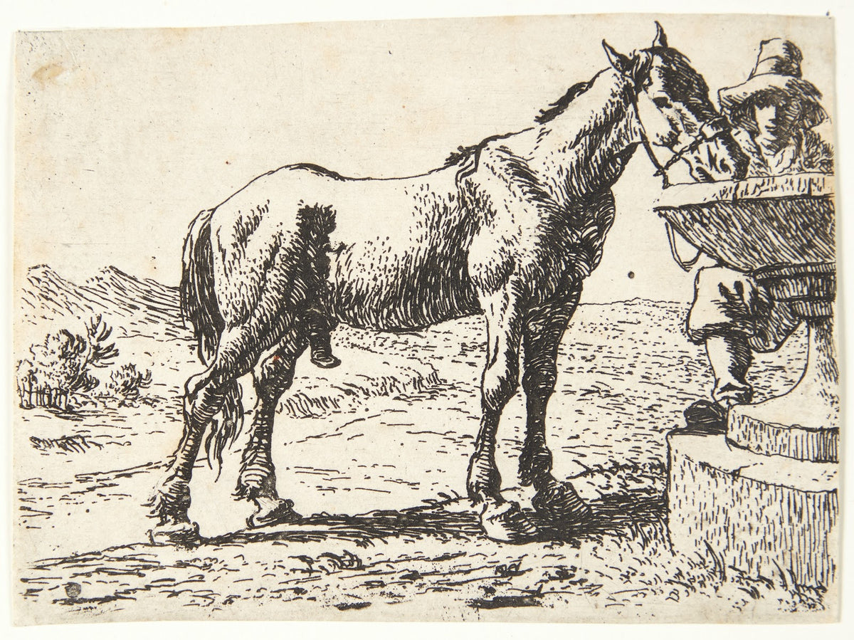 Hest ved en brønd
