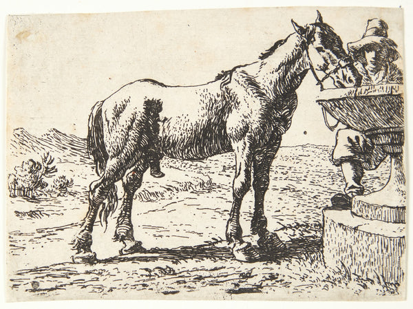 Hest ved en brønd