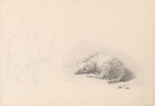 Cow and sheep 19th century