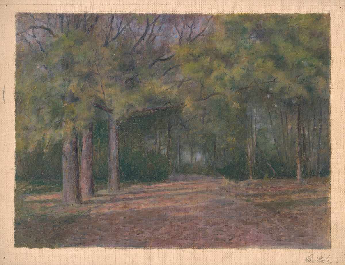 Forest II 19011925