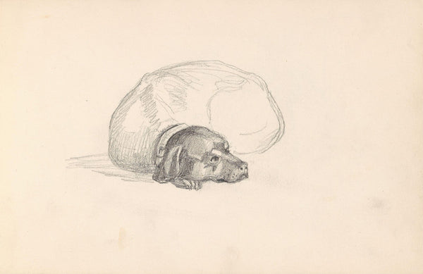 Lying dog 1859