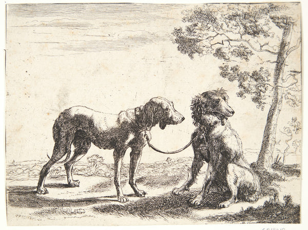 To hunde bundet sammen 1654
